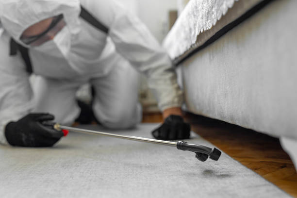Professional Cockroach Control technician working in Fort Totten, ND