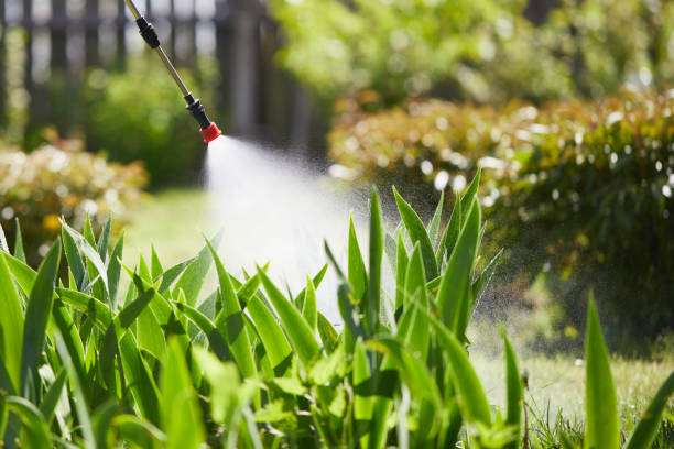 24/7 Emergency Cockroach Control experts in Fort Totten, ND