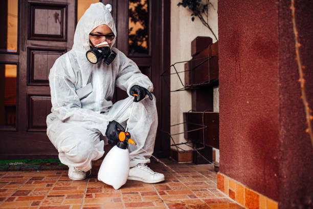 Reliable Cockroach Control contractor in Fort Totten, ND by Nex Pest Control