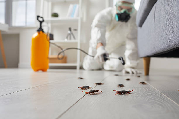 Trusted Fumigation Services service in Fort Totten, ND - Nex Pest Control